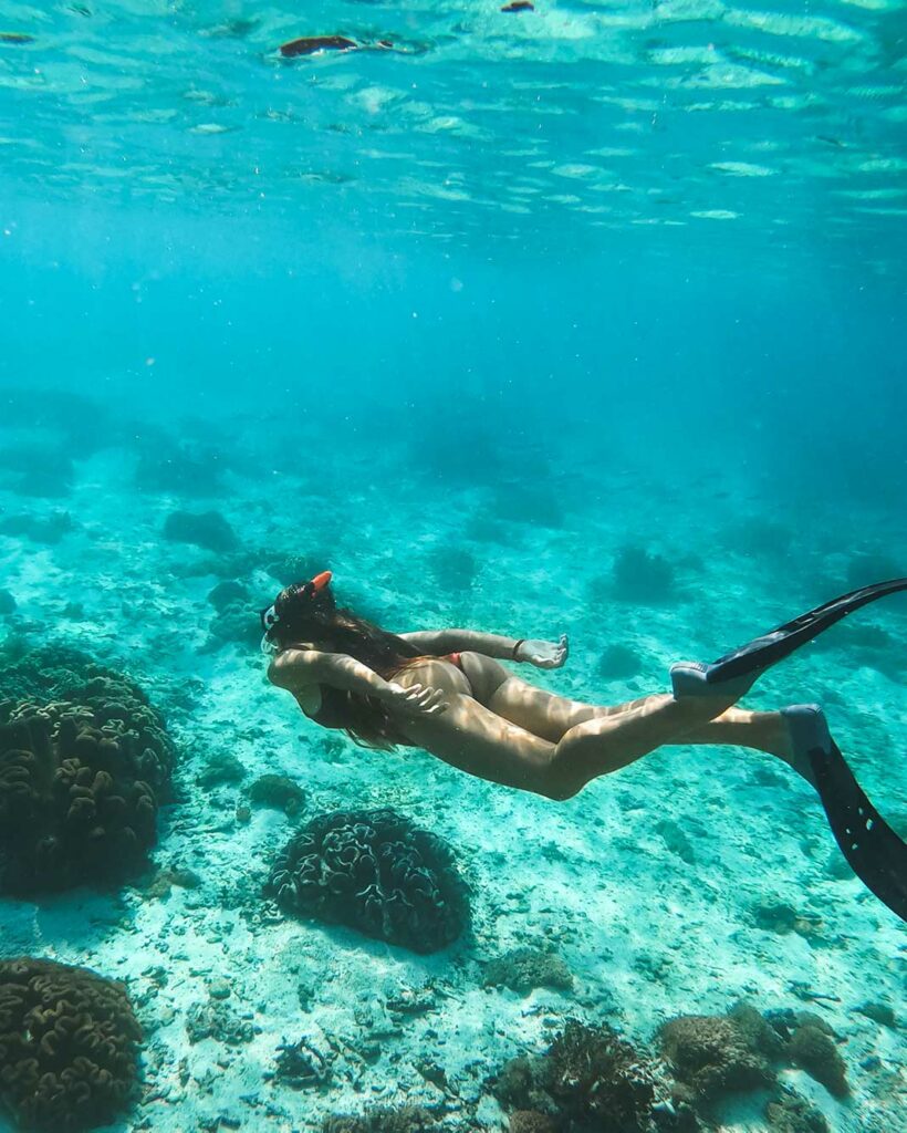 female diving in a blue sea